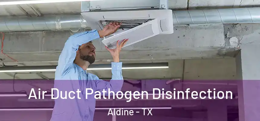  Air Duct Pathogen Disinfection Aldine - TX