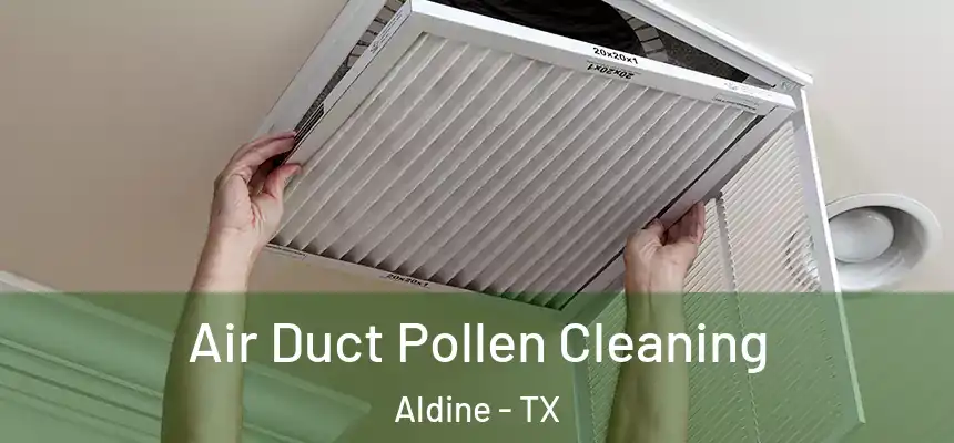  Air Duct Pollen Cleaning Aldine - TX
