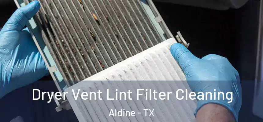  Dryer Vent Lint Filter Cleaning Aldine - TX