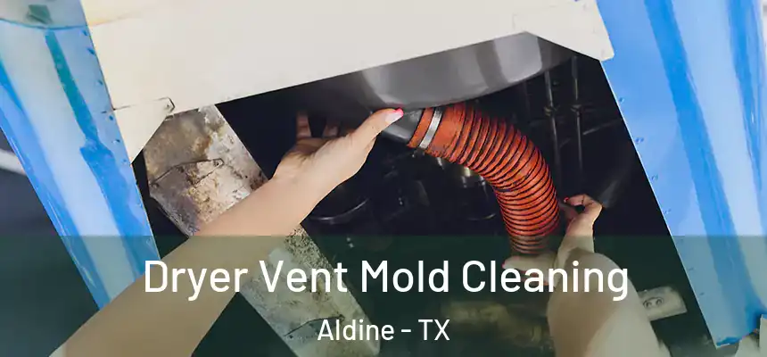  Dryer Vent Mold Cleaning Aldine - TX