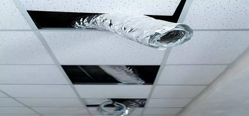 Affordable HVAC Sanitizing After Pest Removal in Aldine