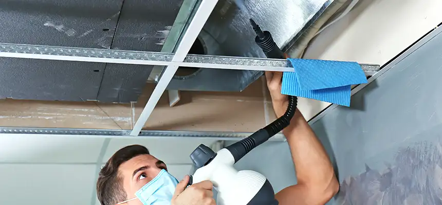 Our Air Duct Rodent Removal Services in Aldine, TX