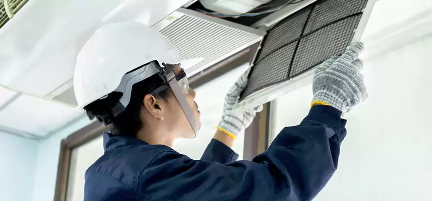 Our Mold & Mildew Removal from Air Ducts Services in Aldine, TX