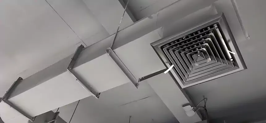 Our Pest Removal From Ducts Services in Aldine, TX