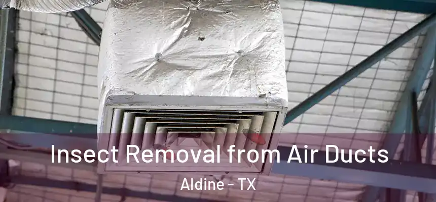  Insect Removal from Air Ducts Aldine - TX