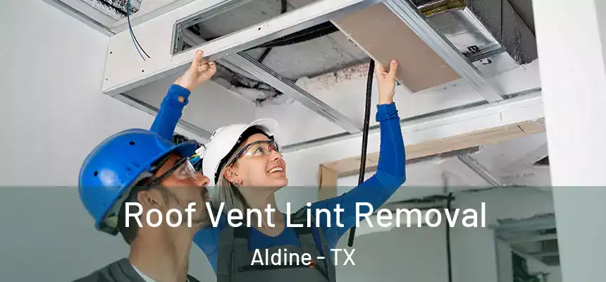  Roof Vent Lint Removal Aldine - TX
