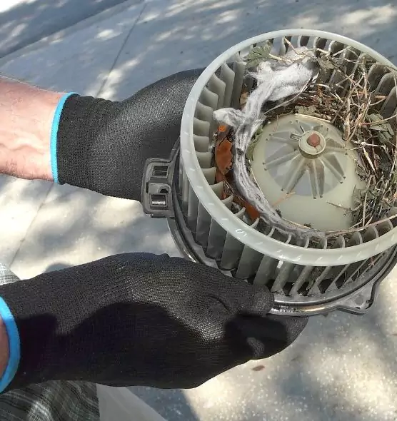 About Air Duct Rat Removal in Aldine, TX