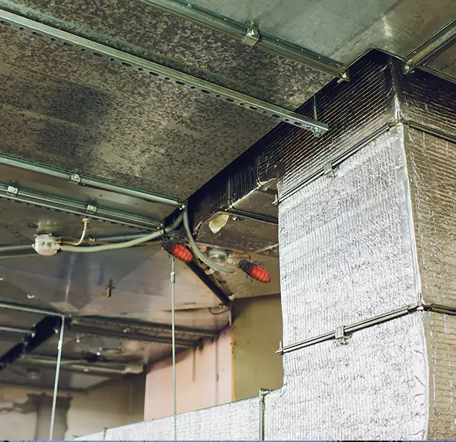 Why Homeowners & Businesses Trust Us in Aldine, TX?