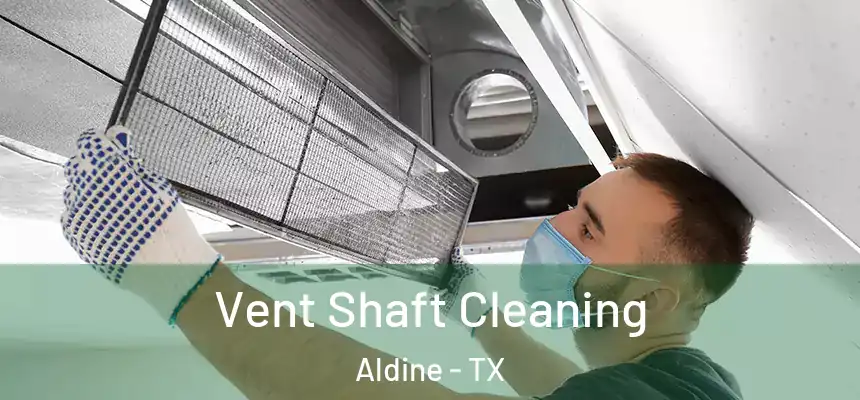  Vent Shaft Cleaning Aldine - TX